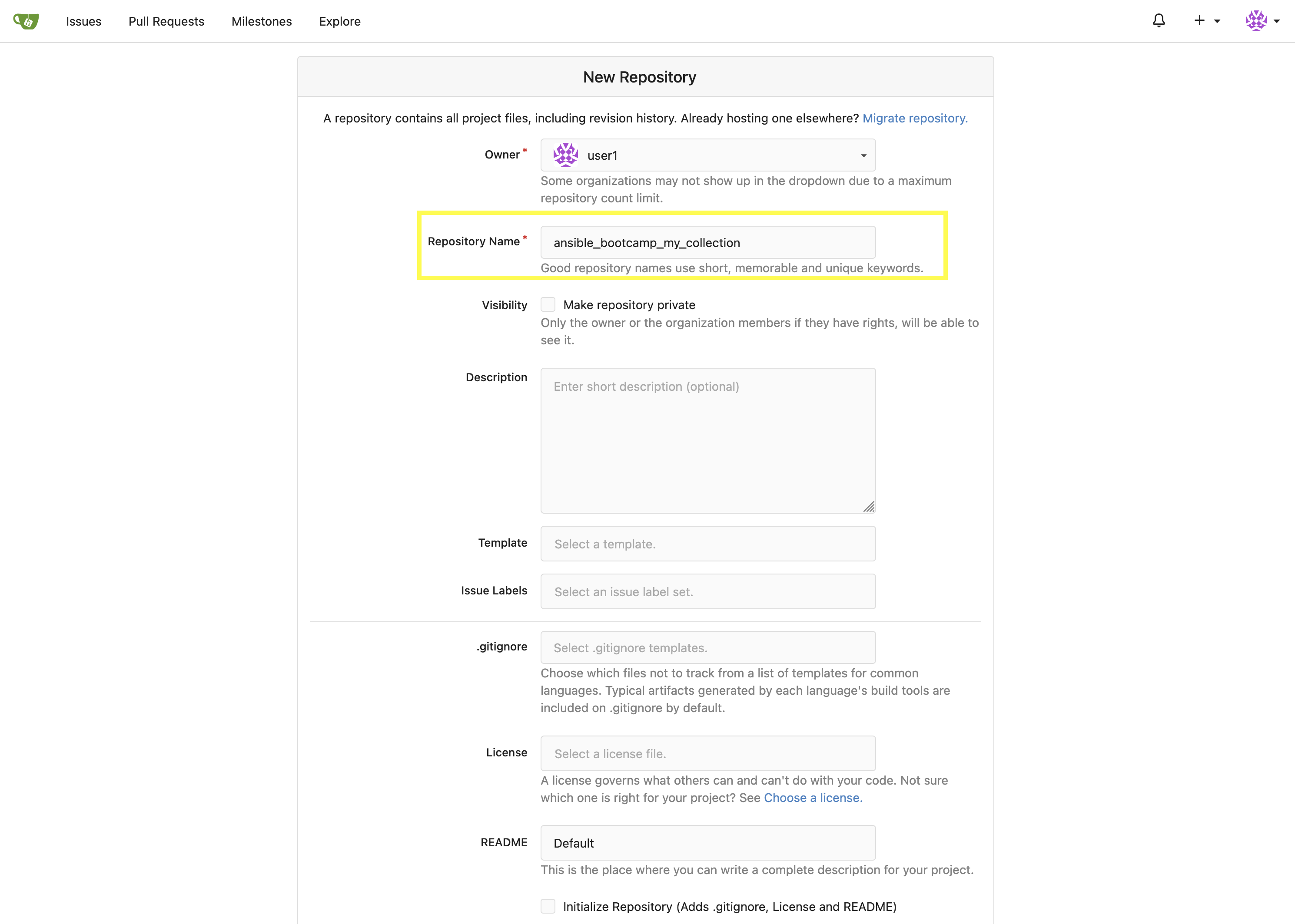 Gitea New Repository