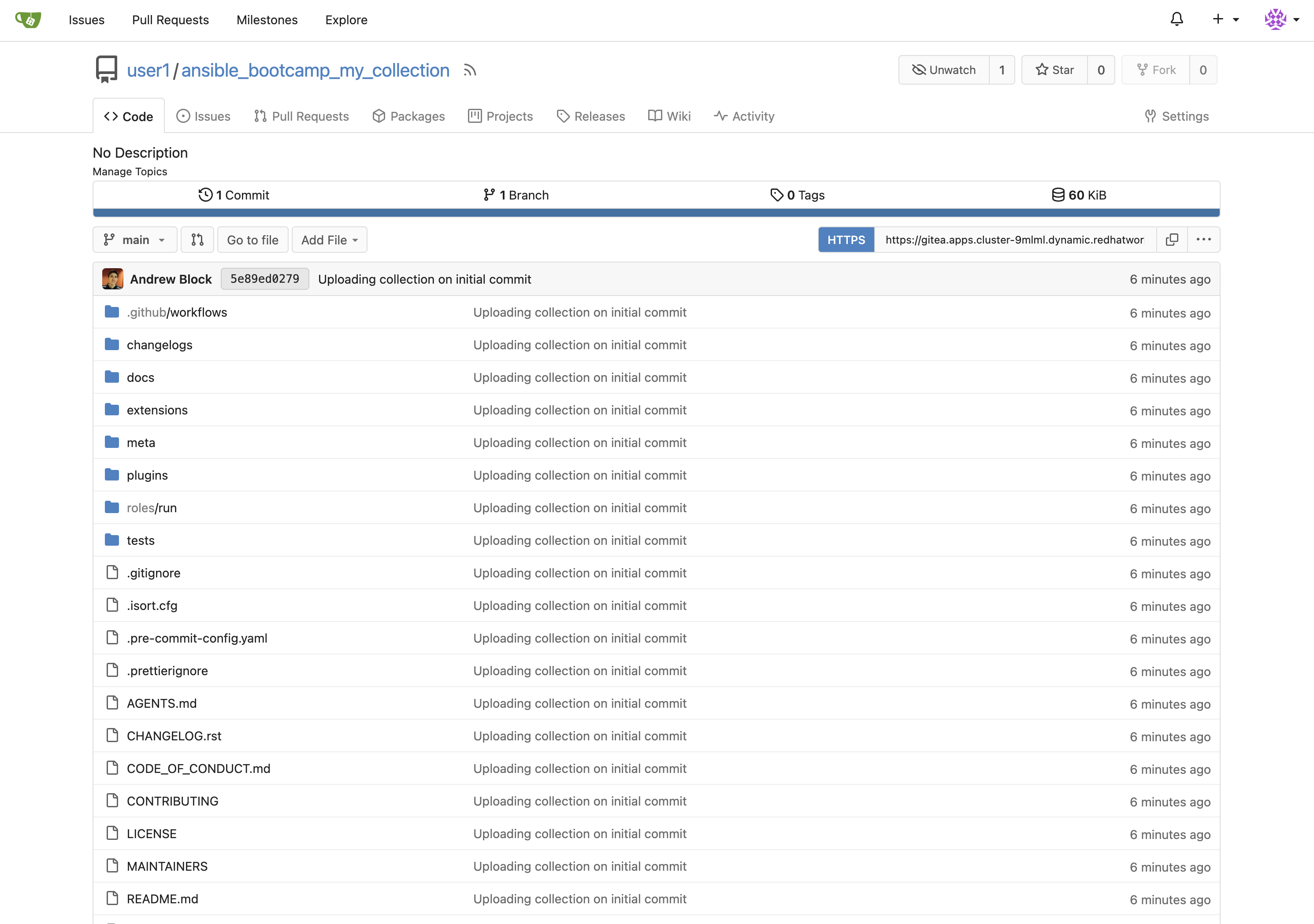 Dev Spaces Git Authentication